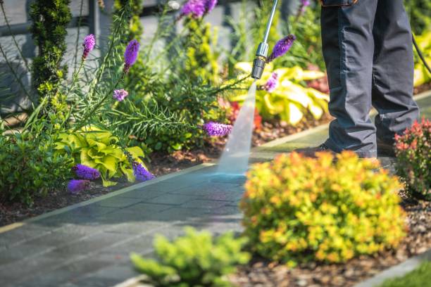 Best Soft Washing  in Huntington Station, NY