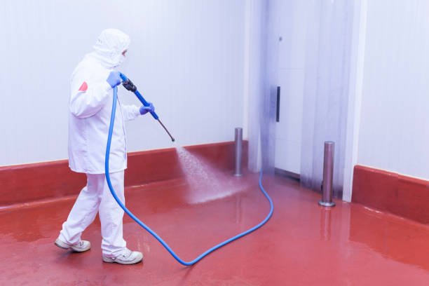 Best Spring Cleaning  in Huntington Station, NY